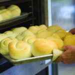 homemade dinner rolls